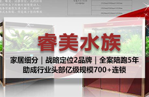 睿美水族—成都定位咨询公司案例—水族行业品牌营销全案—成都营销策划公司